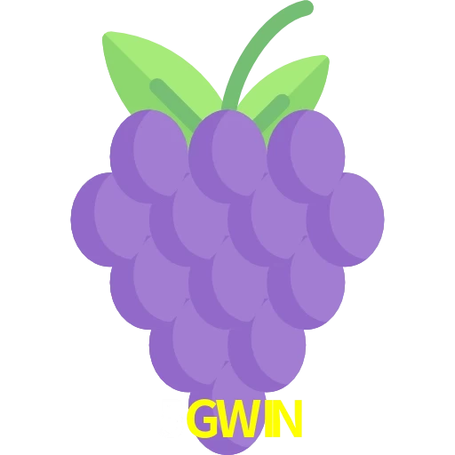 5GWIN